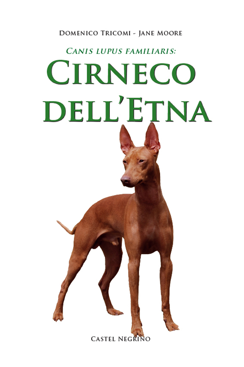 Cirneco dell'Etna Cirneco dell'Etna