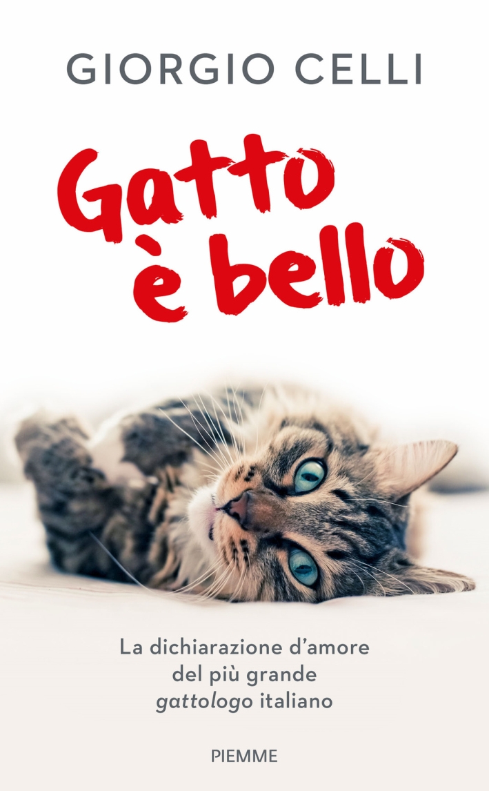 Gatto è bello Gatto è bello