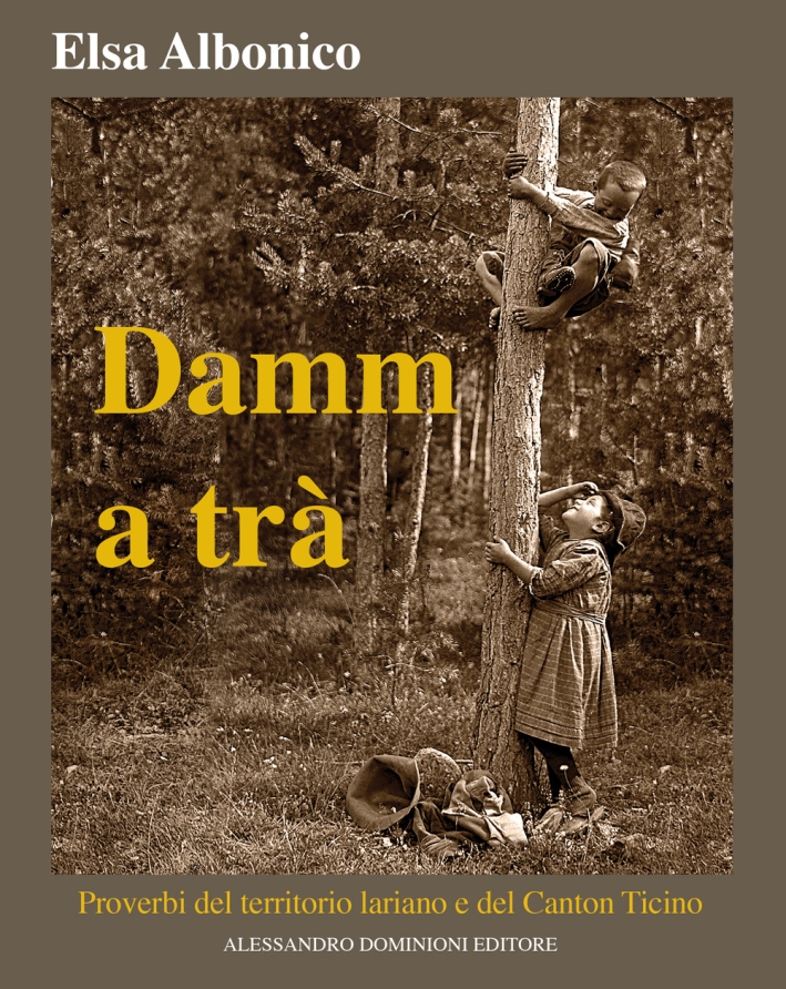 Damm a tra'. Proverbi del territorio lariano e del Canton Ticino Damm a tra'. Proverbi del territorio lariano e del Canton Ticino