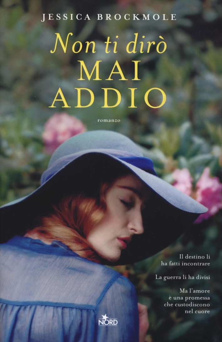 Non ti dirò mai addio. Non ti dirò mai addio.