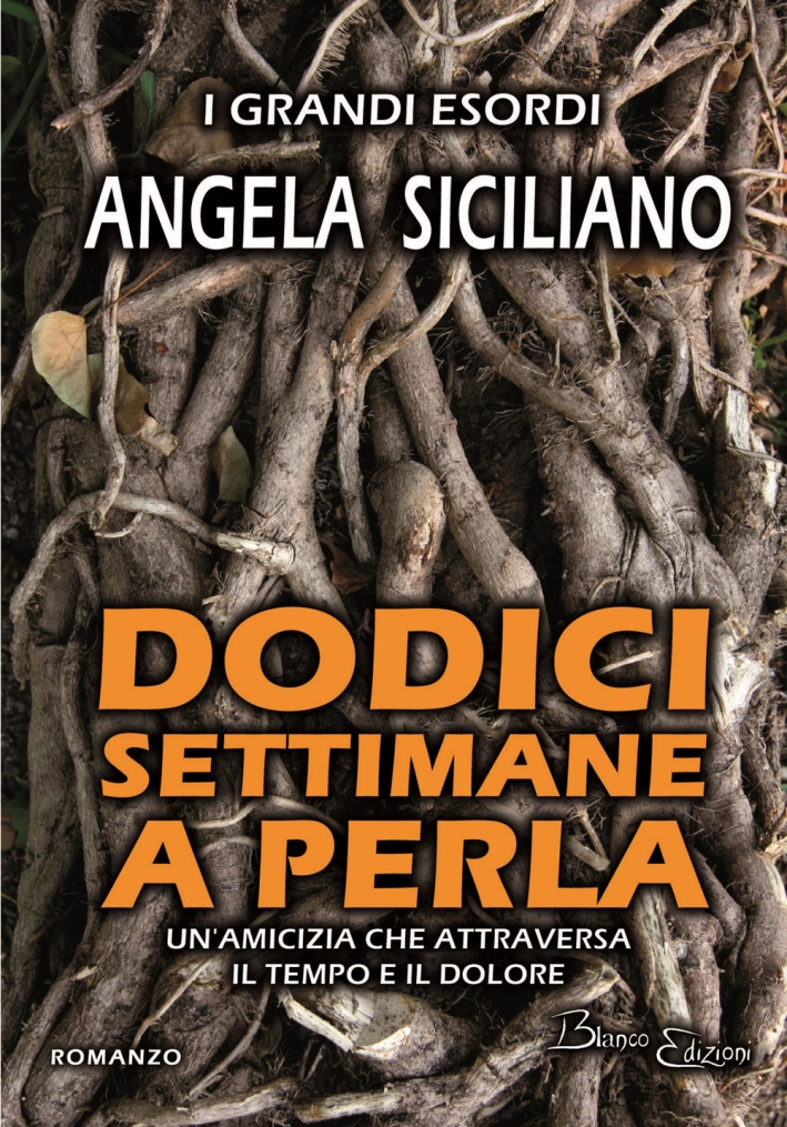 Dodici settimane a Perla. Un'amicizia che attraversa il tempo e il dolore Dodici settimane a Perla. Un'amicizia che attraversa il tempo e il dolore