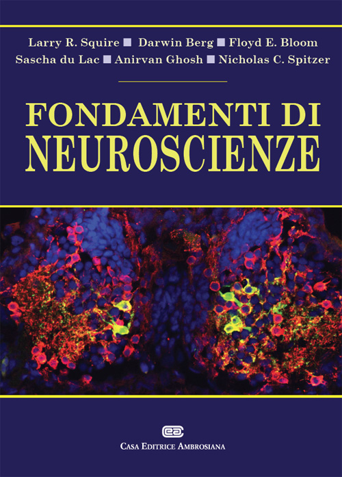 Fondamenti di neuroscienze. Con Contenuto digitale (fornito elettronicamente) Fondamenti di neuroscienze. Con Contenuto digitale (fornito elettronicamente)