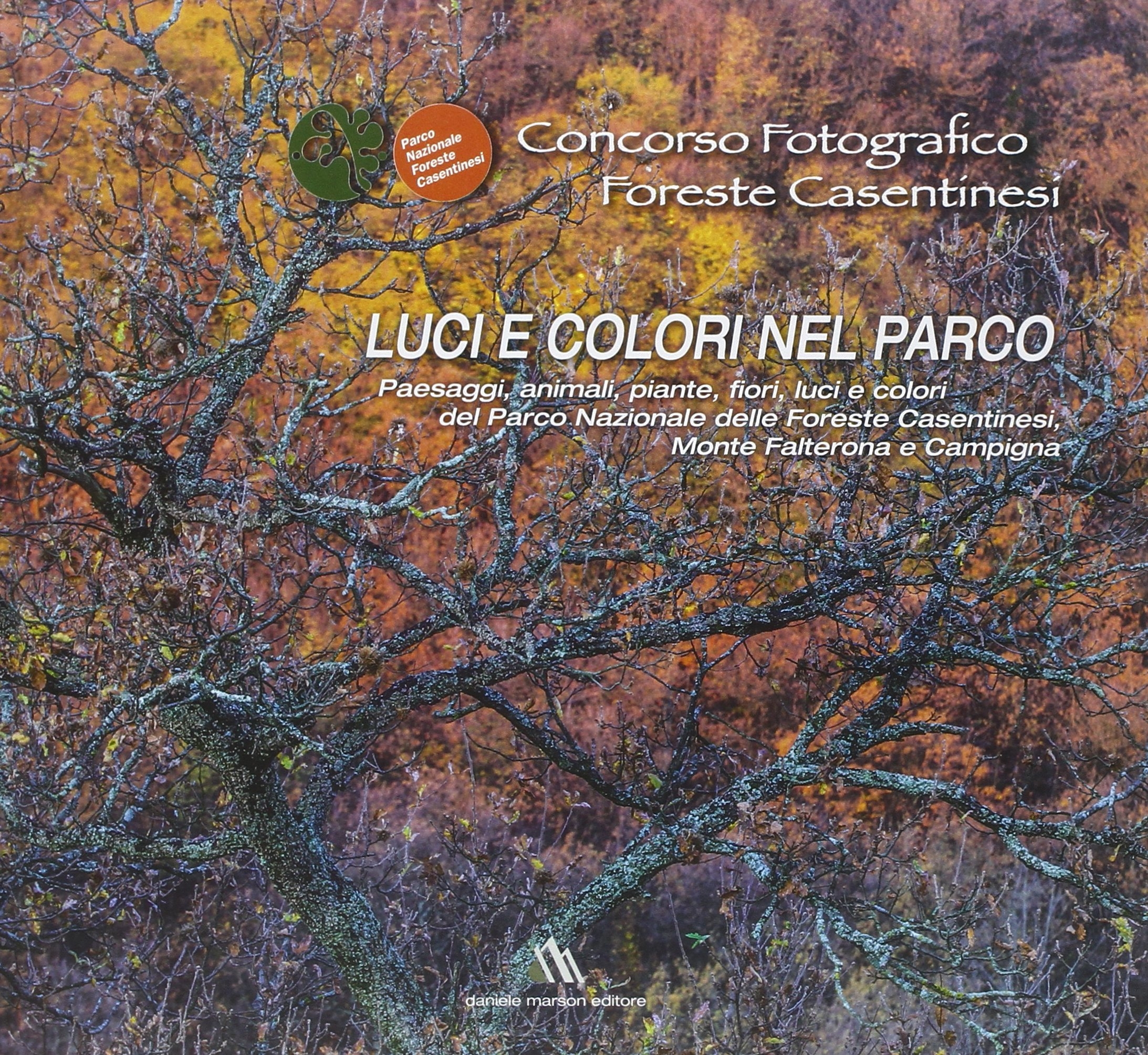 Concorso fotografico foreste casentinesi. Luci e colori nel parco Concorso fotografico foreste casentinesi. Luci e colori nel parco