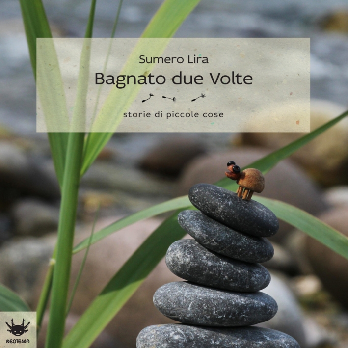 Bagnato due volte Bagnato due volte