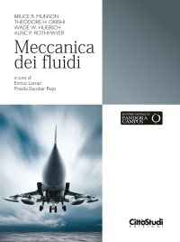 Meccanica dei fluidi