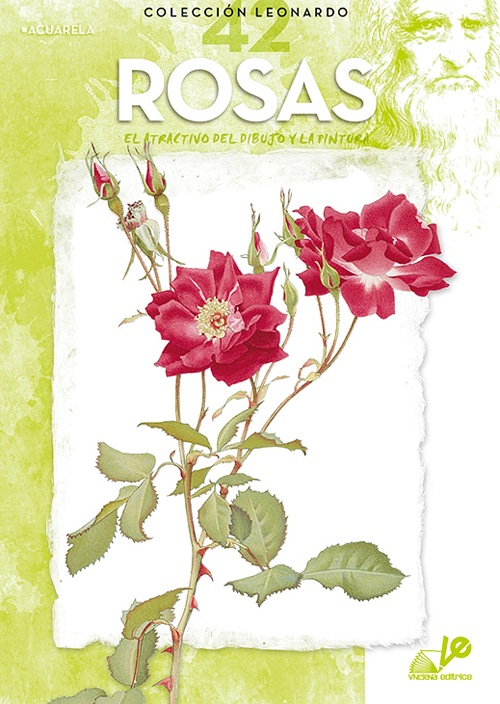 Rosas Rosas