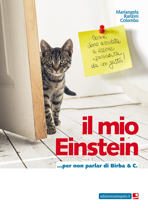 Il Mio Einstein... Per non Parlar di Birba & C Il Mio Einstein... Per non Parlar di Birba & C