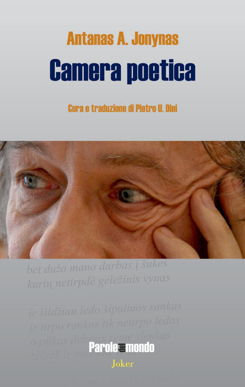 Camera poetica. Ediz. multilingue Camera poetica. Ediz. multilingue