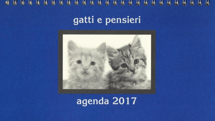Gatti e pensieri. Agenda 2017 Gatti e pensieri. Agenda 2017