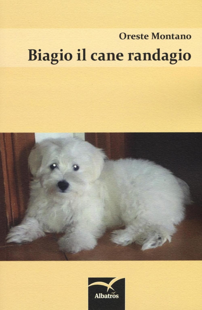 Biagio il cane randagio Biagio il cane randagio