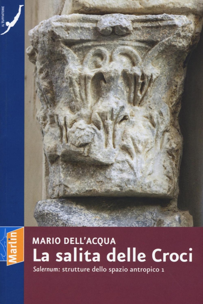 La salita delle croci. «Salernum»: strutture dello spazio antropico 1. Ediz. illustrata La salita delle croci. «Salernum»: strutture dello spazio antropico 1. Ediz. illustrata