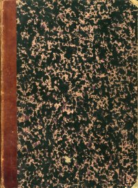 Giornale Illustrato dei Viaggi e delle Avventure di Terra e Mare. 13-14