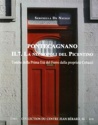 Pontecagnano. II 7. La Necropoli del Picentino. Tombe della Prima Età del Ferro dalla Proprietà Colucci
