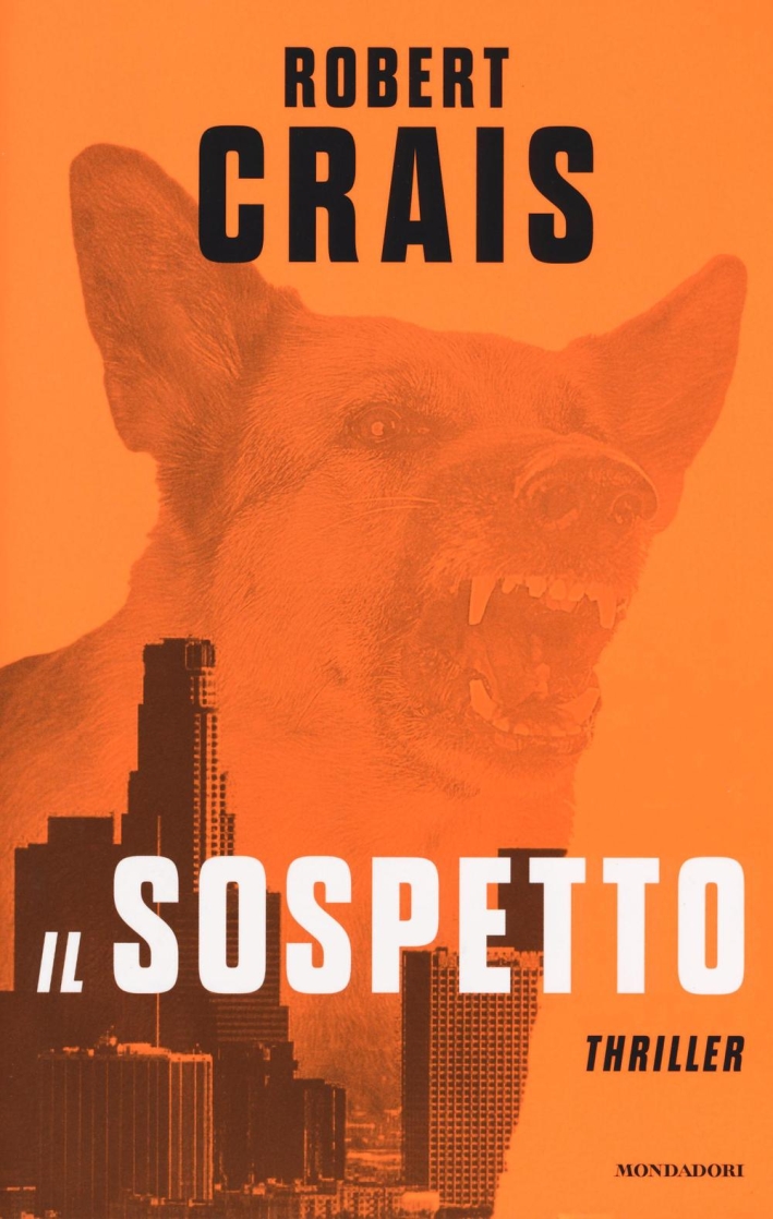 Il sospetto Il sospetto
