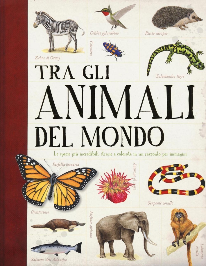 Tra gli animali del mondo Tra gli animali del mondo