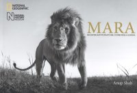 Mara. Incontri ravvicinati nel cuore della savana