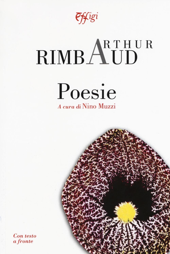 Poesie Poesie
