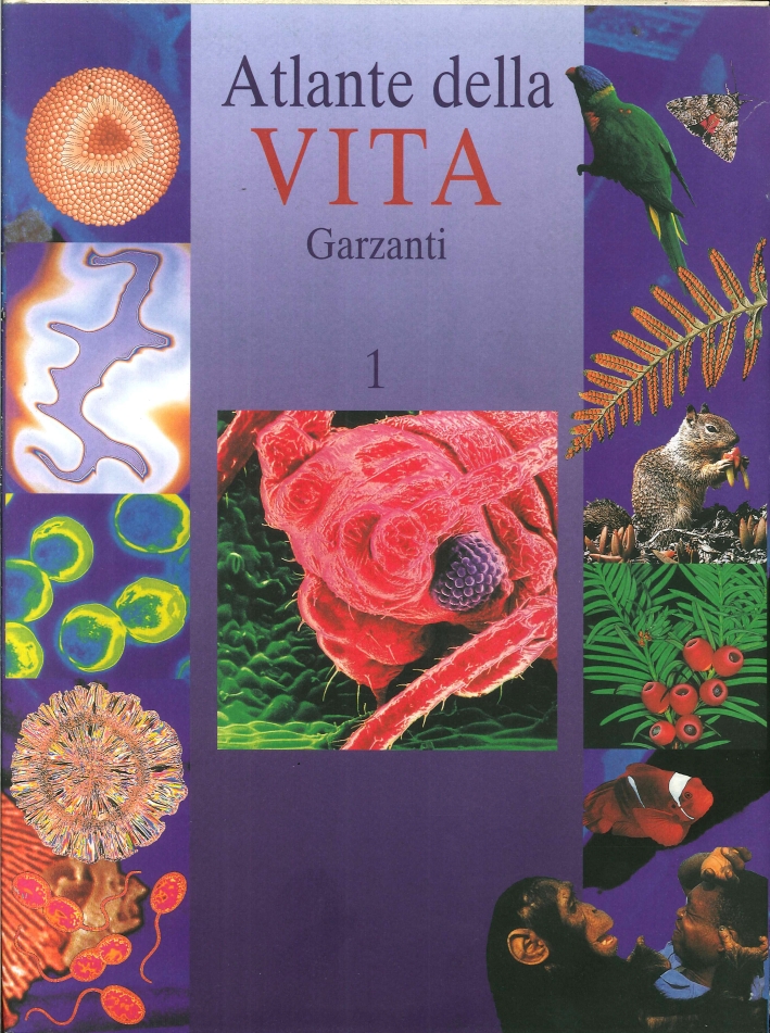 Atlante della Vita Garzanti Atlante della Vita Garzanti