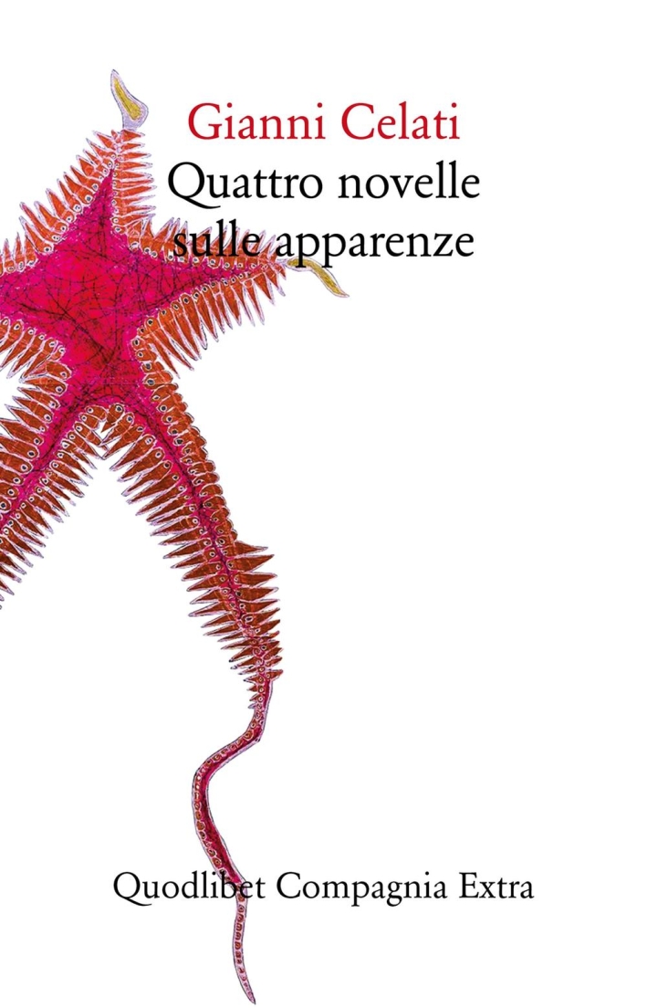 Quattro novelle sulle apparenze. Ediz. illustrata Quattro novelle sulle apparenze. Ediz. illustrata