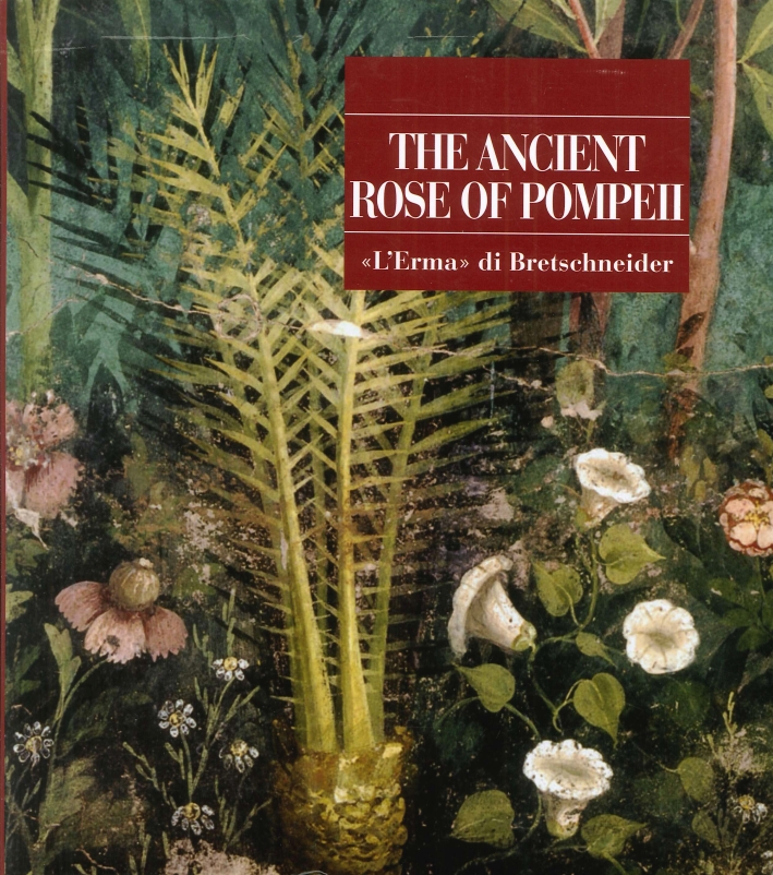 The Ancient Rose of Pompeii