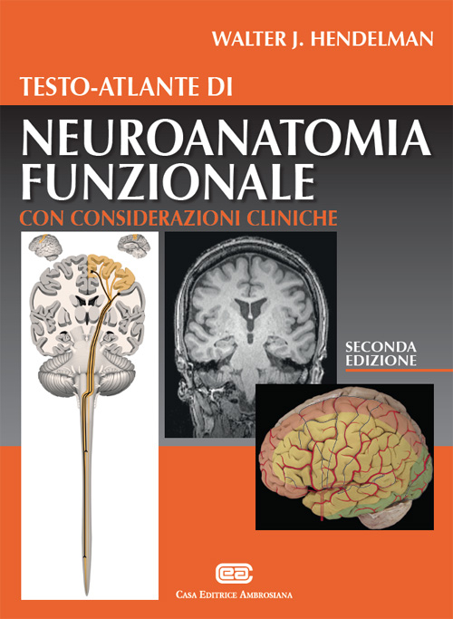 Testo-atlante di neuroanatomia funzionale. Con considerazioni cliniche Testo-atlante di neuroanatomia funzionale. Con considerazioni cliniche