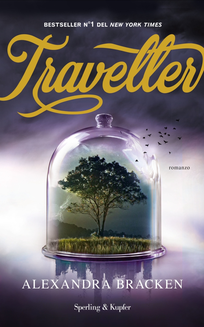 Traveller Traveller