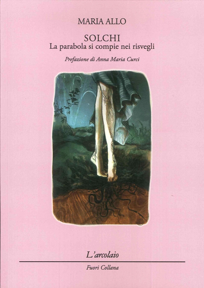 Solchi. La parabola si compie nei risvegli. Solchi. La parabola si compie nei risvegli.