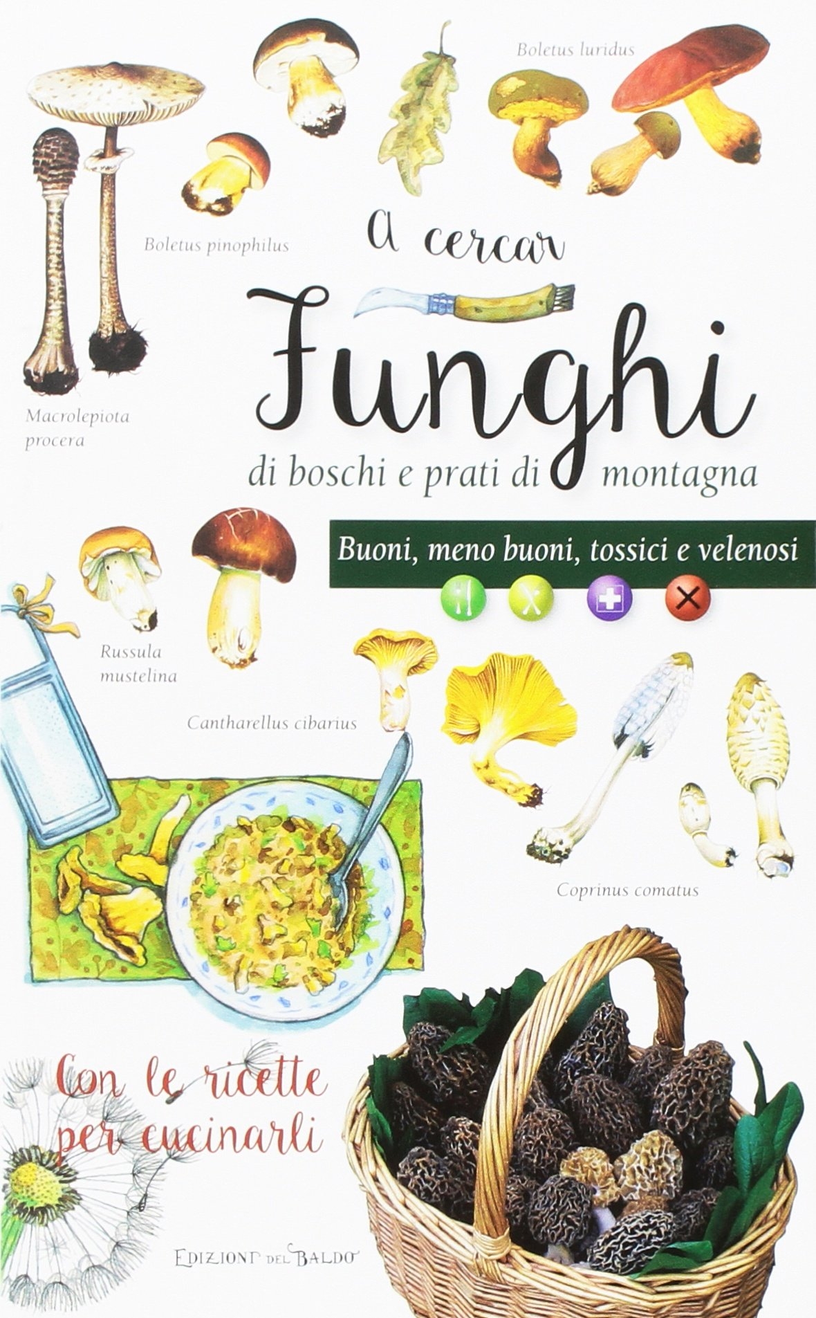 A cercar funghi di boschi e prati di montagna. Buoni, meno buoni, tossici e velenosi. Con le ricette per cucinarli A cercar funghi di boschi e prati di montagna. Buoni, meno buoni, tossici e velenosi. Con le ricette per cucinarli