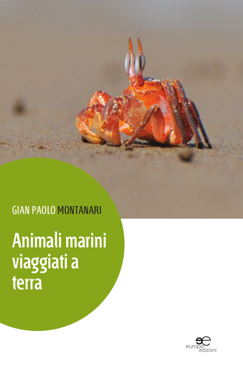 Animali marini viaggiati a terra Animali marini viaggiati a terra