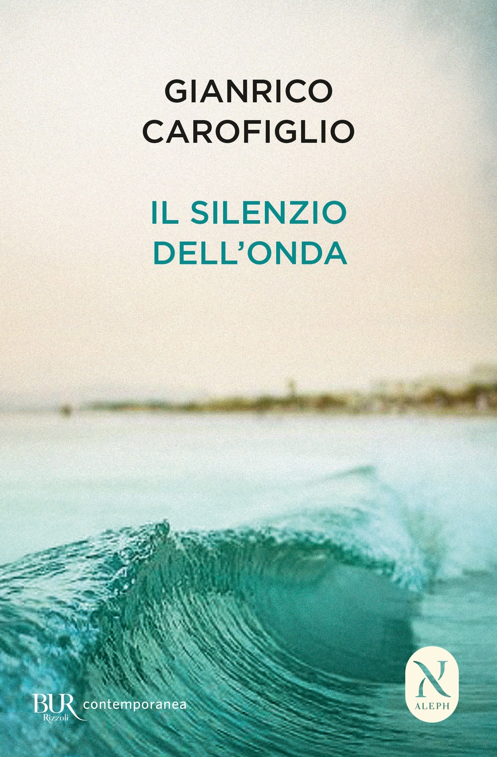 Il silenzio dell'onda Il silenzio dell'onda