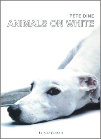 Animals On White Animals On White