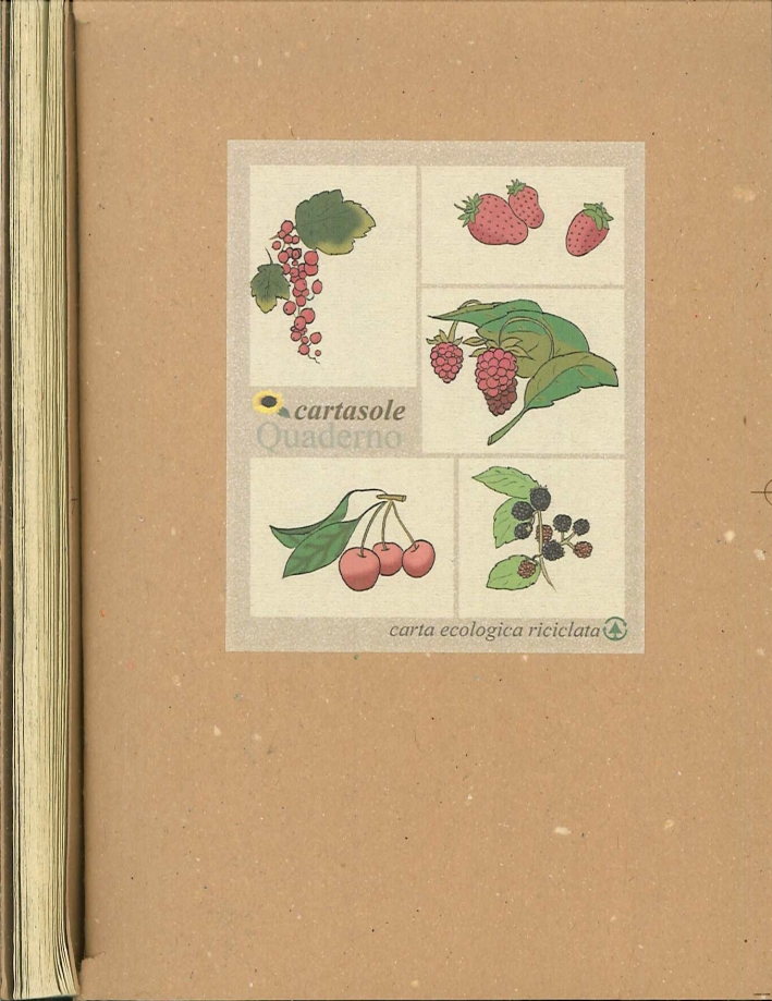 Cartasole Quaderno Interno Avana 9,5x15,5 Cartasole Quaderno Interno Avana 9,5x15,5
