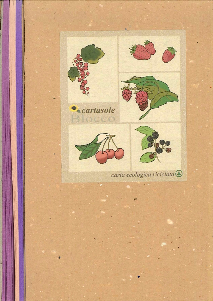Cartasole Blocco Multicolore: Viola, Rosa, Lilla. 9,5x15,5 Cartasole Blocco Multicolore: Viola, Rosa, Lilla. 9,5x15,5