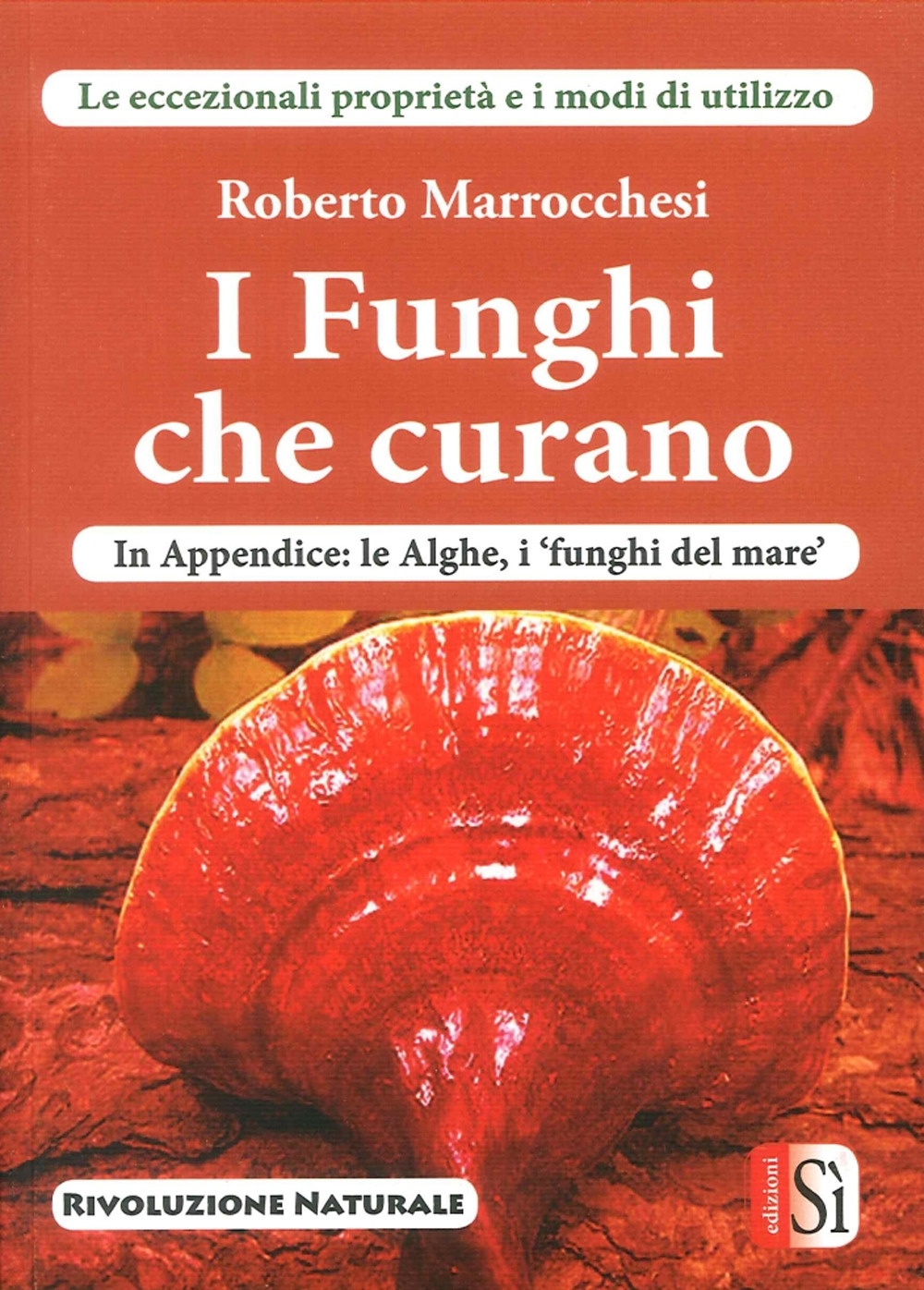 I Funghi che Curano I Funghi che Curano