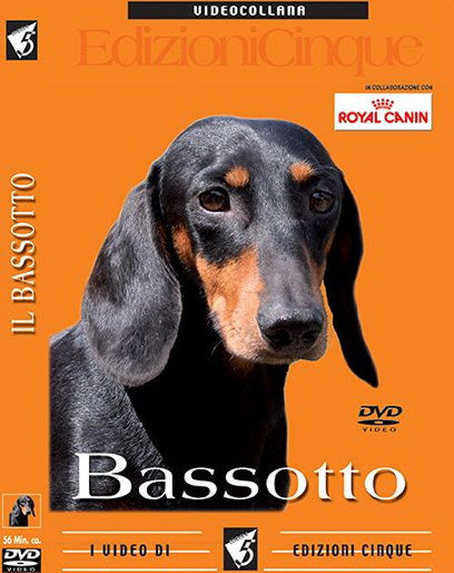 Bassotti. DVD Bassotti. DVD