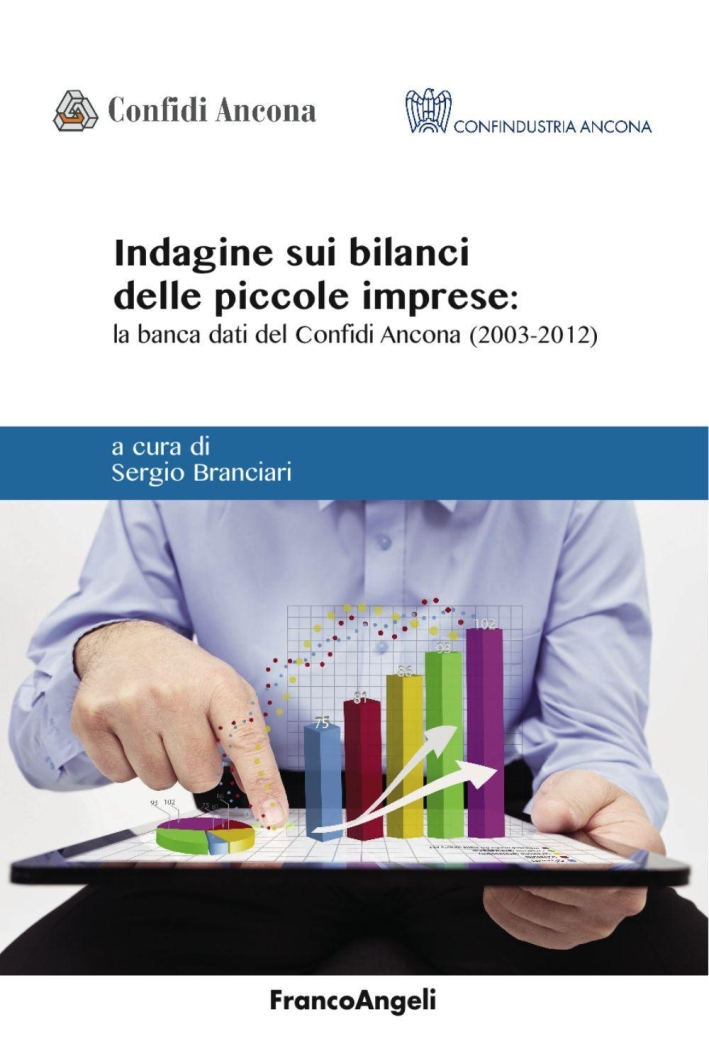 Indagine sui bilanci delle piccole imprese. La banca dati del Confidi Ancona (2003-2012) Indagine sui bilanci delle piccole imprese. La banca dati del Confidi Ancona (2003-2012)