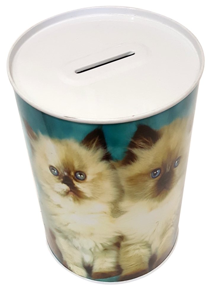 Salvadanaio latta Gatti. Box money Cat. Salvadanaio latta Gatti. Box money Cat.