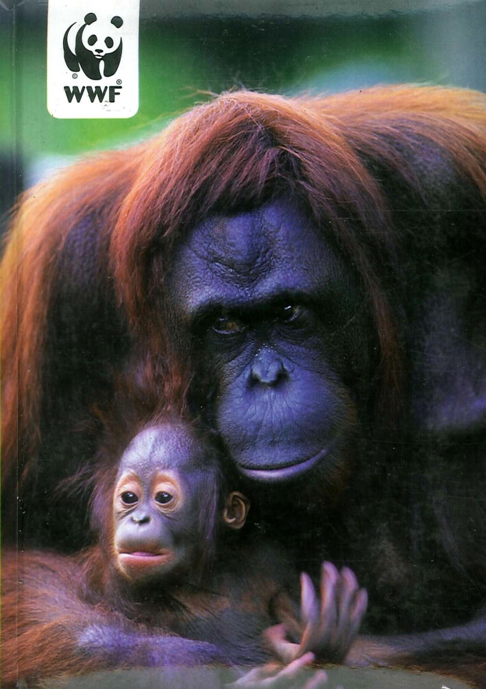 Diario Wwf Diario Wwf