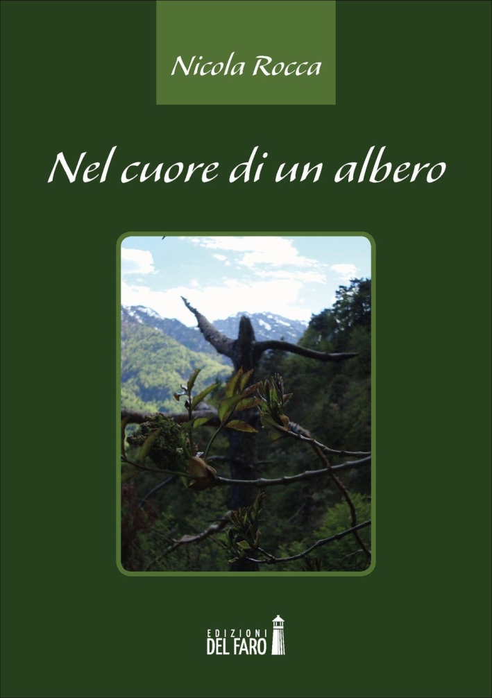 Nel cuore di un albero Nel cuore di un albero