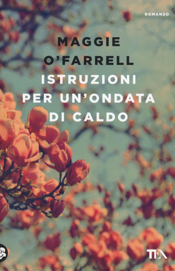 Istruzioni per un'ondata di caldo Istruzioni per un'ondata di caldo