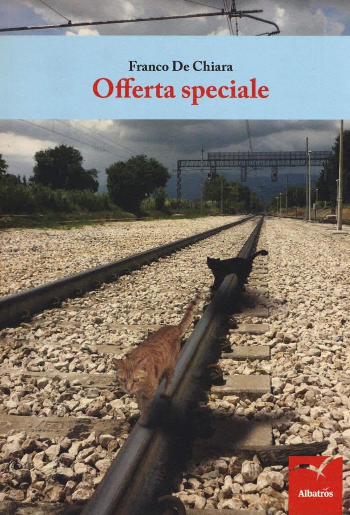 Offerta speciale Offerta speciale
