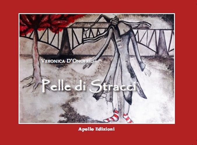 Pelle di stracci Pelle di stracci