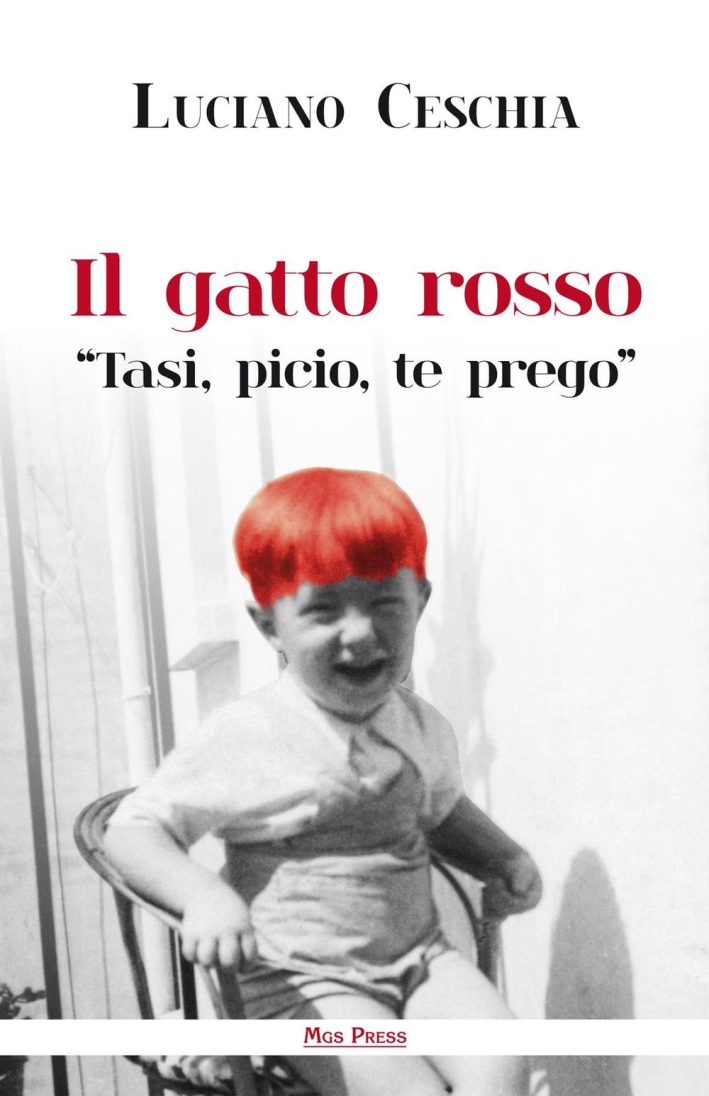 Il gatto rosso. 