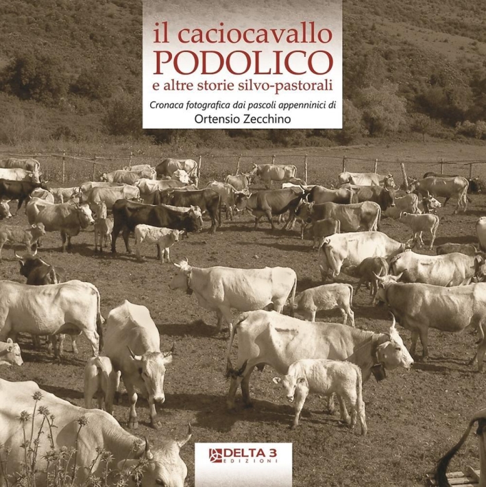 Il caciocavallo podolico e altre storie silvo-pastorali. Cronaca fotografica dai pascoli appenninici Il caciocavallo podolico e altre storie silvo-pastorali. Cronaca fotografica dai pascoli appenninici