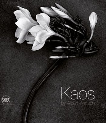 Kaos Kaos