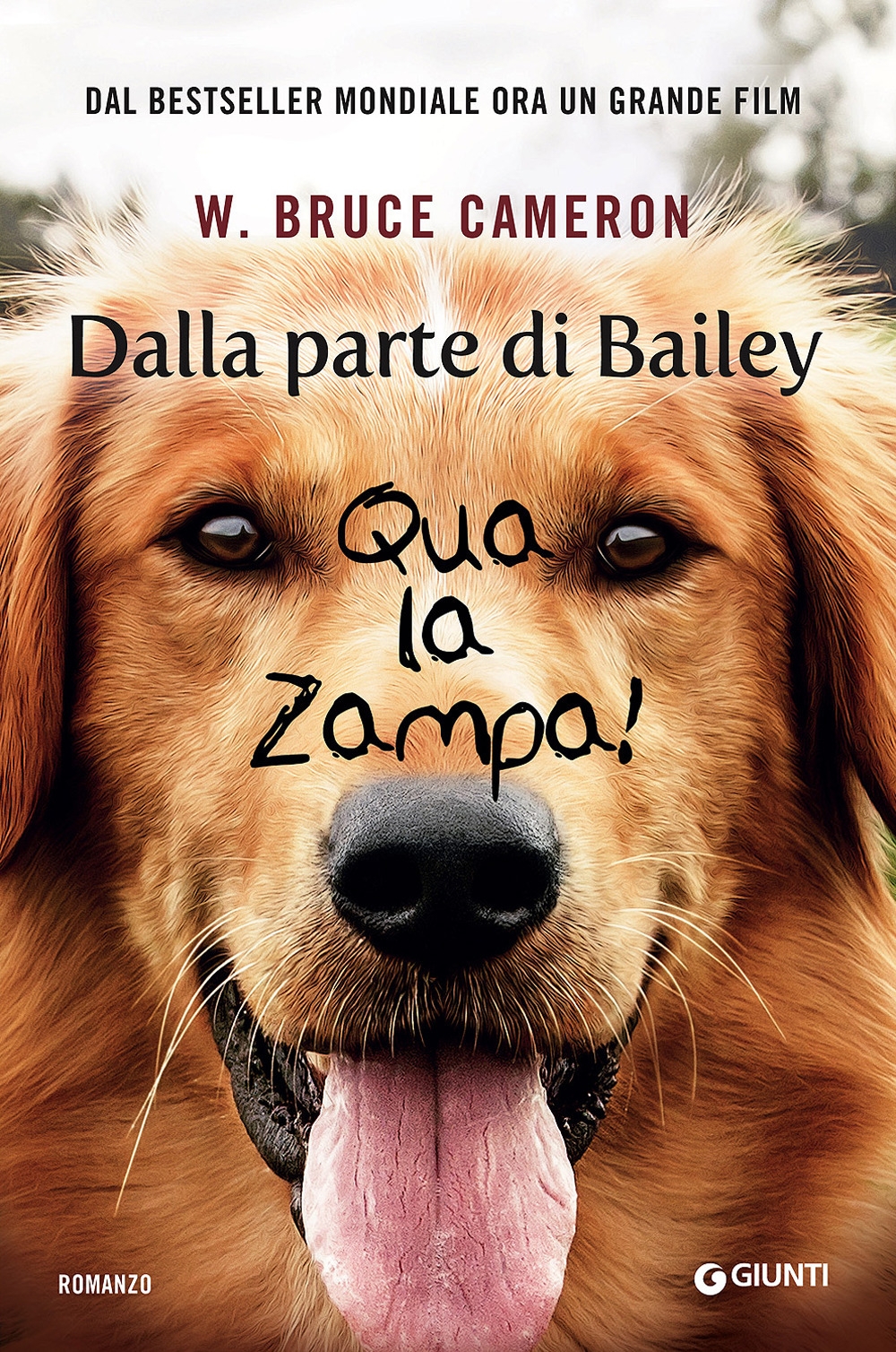 Dalla parte di Bailey. Qua la zampa Dalla parte di Bailey. Qua la zampa