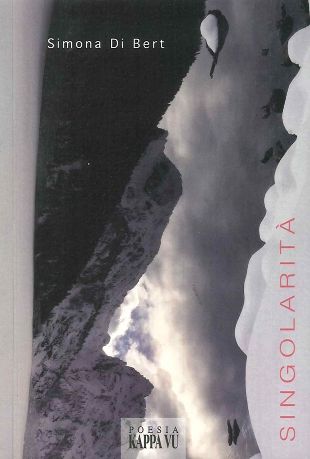 Singolarità. Singolarità.