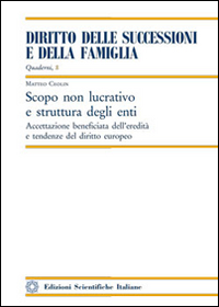 Scopo non lucrativo e struttura degli enti Scopo non lucrativo e struttura degli enti