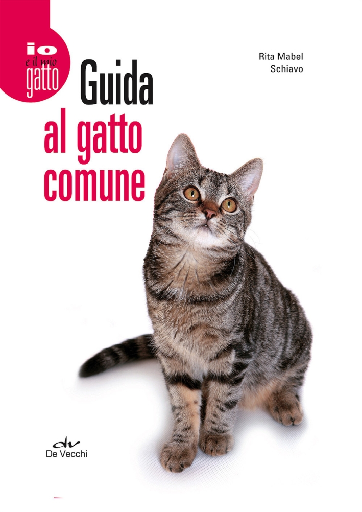 Guida al gatto comune Guida al gatto comune