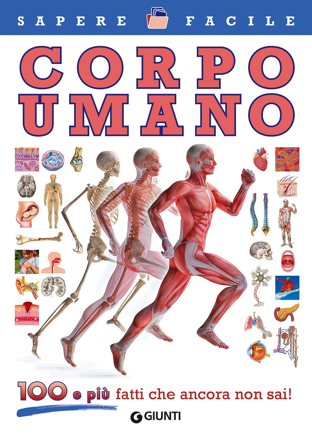 Corpo umano Corpo umano